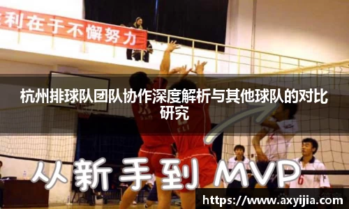 杭州排球队团队协作深度解析与其他球队的对比研究